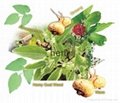All Kind of Herbal Extract and Herbal Powder 2
