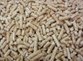 wood pellet 1