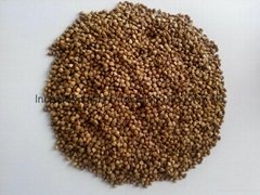 boiled buckwheat kernels 