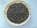 2014 new raw buckwheat from China  2