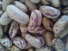 Light Speckled kidney beans(long sharp)