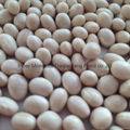 White kidney beans (Japan type) 3