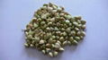 Buckwheat Kernels 2