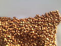 Roasted Buckwheat kernels 1