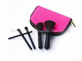 Cosmetic Brush Set 5pcs LJLMB-009 1