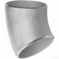 Stainless Steel 45 Degree Elbow Pipe