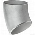 Stainless Steel 45 Degree Elbow Pipe Fittings