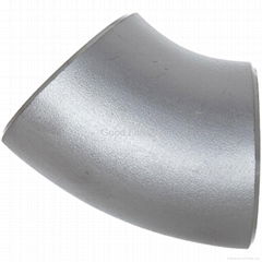 Stainless Steel 45 Degree Elbow Pipe Fittings