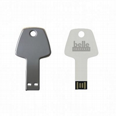 Key Usb Flash Drives 