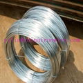 Galvanized Iron Wire 1