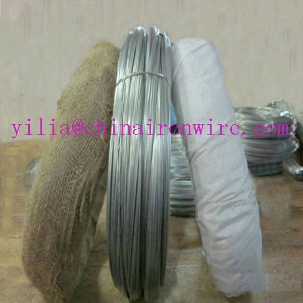 Galvanized Iron Wire 2