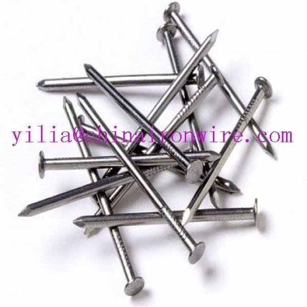 China spplier factories common nails