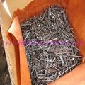 Factory common round steel wire nail