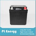 Lithium ion starter batteries