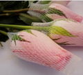 White Extruded Rose Protection Bud Net