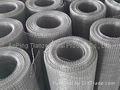 Galvanized Welded Wire Mesh 1