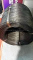 Black Annealed Wire  2