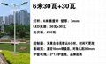 广西新农村建设太阳能庭院灯 5
