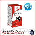 10% enrofloxacin injection 50ml oral