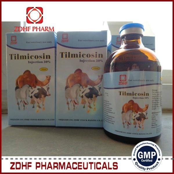 Tilmicosin phosphate injection  30% 25% 4