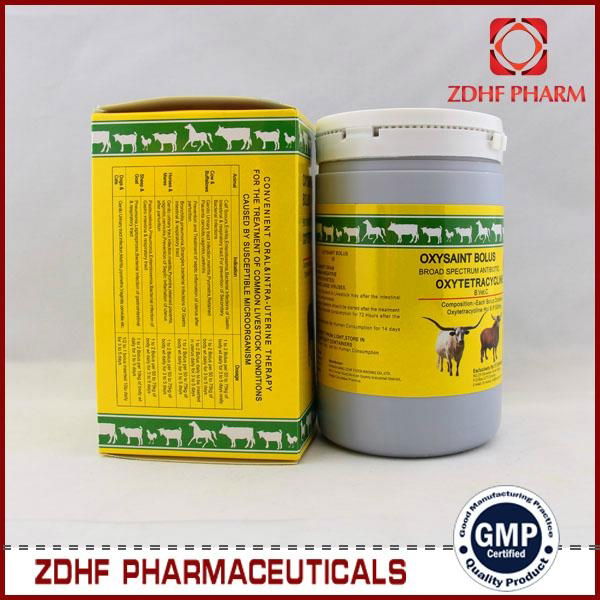 Veterinary Antibiotic agent Oxytetracycline bolus 500mg 5