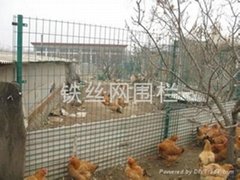 散养鸡场网围栏