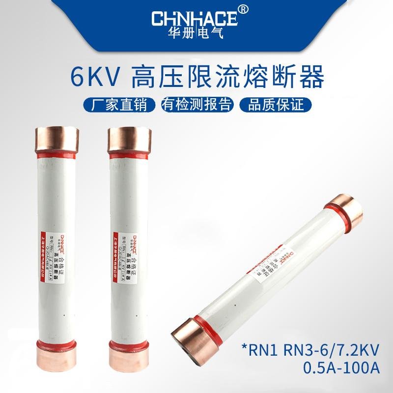華冊RN1-RN2-RN3-RN4陶瓷戶內高壓限流熔斷器6-35KV/0.5A-200A直銷 2