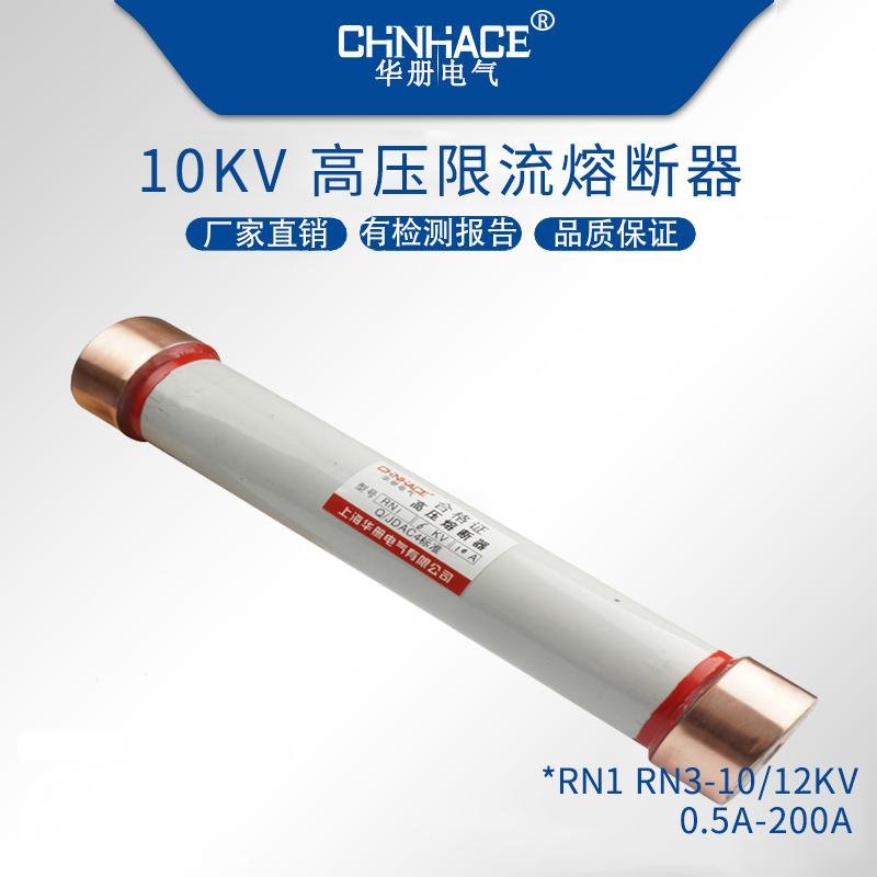 華冊RN1-RN2-RN3-RN4陶瓷戶內高壓限流熔斷器6-35KV/0.5A-200A直銷 4