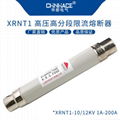華冊電氣XRNT1戶內陶瓷高分斷高壓限流熔斷器3-35KV/1A-250A 2