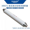 華冊電氣XRNT1戶內陶瓷高分斷高壓限流熔斷器3-35KV/1A-250A 4