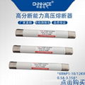 華冊XRNP1-4-6高分斷高壓限流熔斷器10-35KV/0.2A-3.15A玻璃陶瓷螺杆型直銷 4