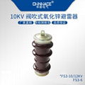 華冊高壓氧化鋅避雷器HY5WS/D/R/Z/X/T-Y5WS-HY1.5W-FS3-HY5WGB可帶脫離器摘挂直銷 5