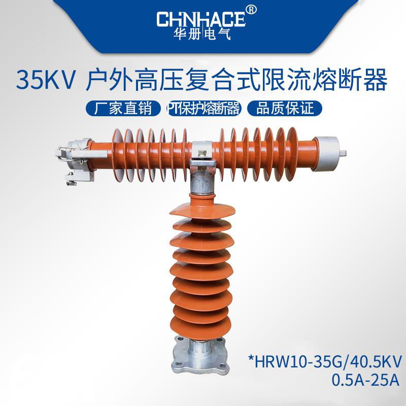 华册T型限流熔断器RW9-H/RW10-RW10-RWJ-H/RXWO陶瓷硅胶卡扣35/40.5KV 0.5-25A直销 4