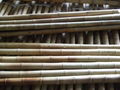 BAMBOO CANES 4