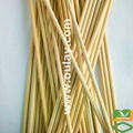 Wood arrow shafts 4