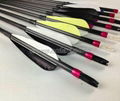  0.002~0.004 pure carbon arrows 2