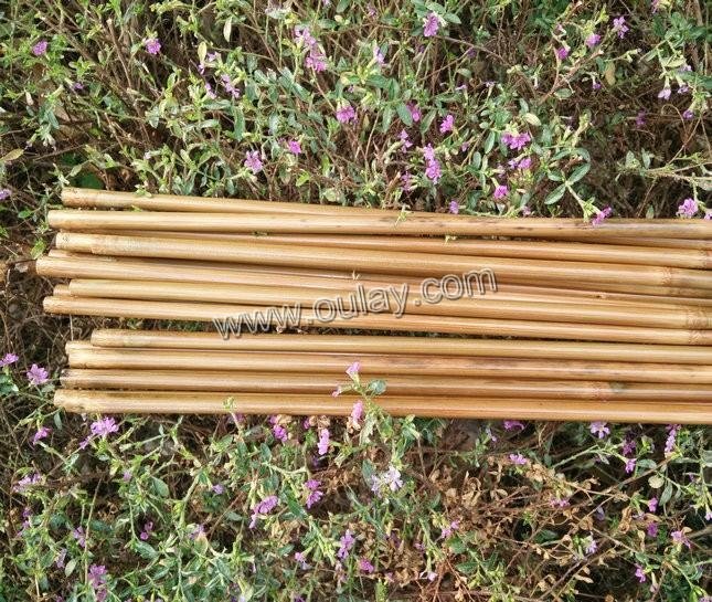 Tonkin bamboo arrows shafts