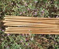 Tonkin bamboo arrows shafts 1