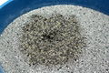 Bentonite Activated Carbon Sand 2