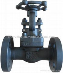 300lb, 1/2inch Flanged End Forged Gate Valve