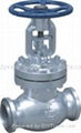 ANSI Stainless Steel Overall Cant Multi-Level Globe Valve 1