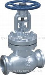 ANSI Stainless Steel Overall Cant Multi-Level Globe Valve