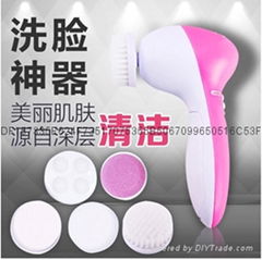 5in 1 beauty care massager