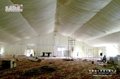 1000 People Church tent with Table and Chairs for Sale 2