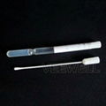 Cary Blair Disposable Medical Swab Stick 1