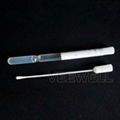 Cary Blair Disposable Medical Swab Stick