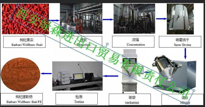 Fructus Jujubae Extract 3