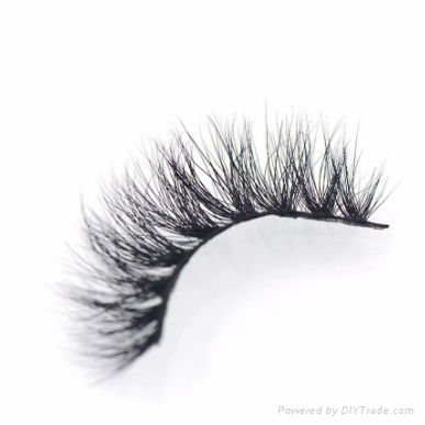 3D Mink eyelashes 2