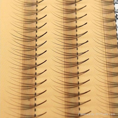 3D Mink eyelashes 3