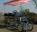 Four Wheel Surrey Bike With Baby Seat